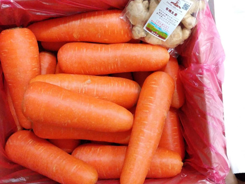 【宮崎県産】有機にんじん訳あり品(ジュース・サラダ用5kg入)