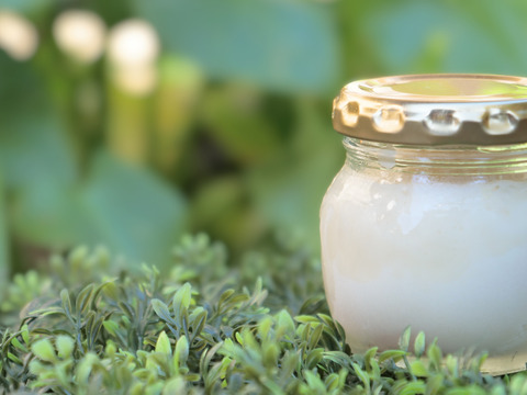 専門家監修！新発売「ももミルクぷりん」入り桃尽くしセット<解凍レベルも楽しめます>