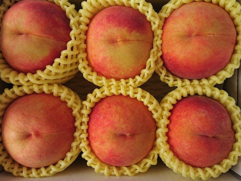 まるせい果樹園の桃　『黄金桃』1㎏(5玉~7玉入り)　自家用　ご贈答用向け  mo3