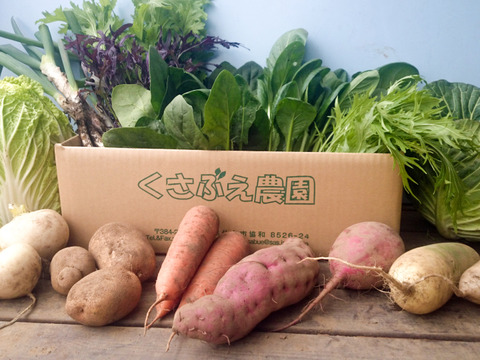 【福袋】今年一年の感謝を込めた冬の高原野菜セット