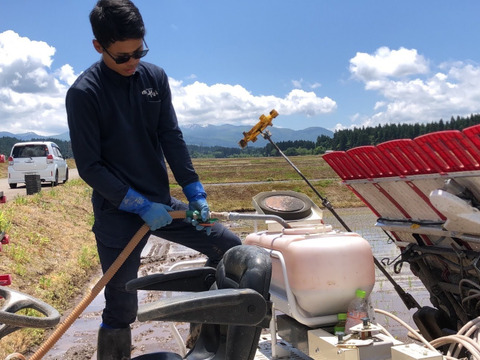 【新米予約】令和8年産 魚沼産コシヒカリ 特別栽培米 精米 20kg【当地比農薬5割減栽培】