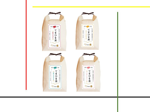 【新米】【限定4種食べ比べセット】『てまひま米』彩のかがやき・彩のきずな・こしひかり・ミルキークイーン　精米4㎏(1kg×4袋）