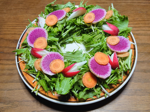 《群馬県産》寒風で甘味アップ‼️
人参3キロ(農薬、化学肥料不使用)