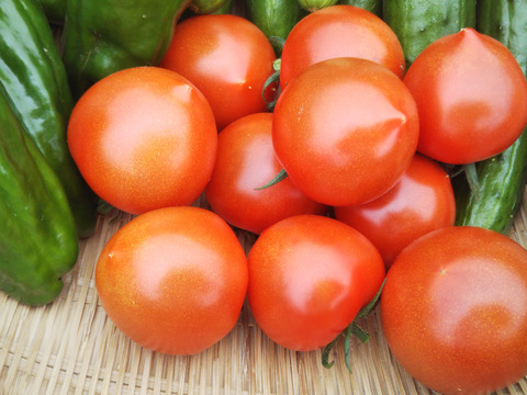 Jasmineさんリクエスト　　栗えびすかぼちゃ追加
　フルーツトマト、キュウリ・ミニキュウリ・ピーマンの詰合せ
世界農業遺産　ブランド野菜シリーズ