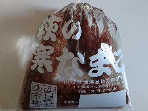 日本海で採れた赤ナマコ1キロ(2〜4個)