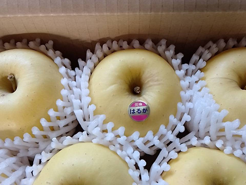 【岩手・紫波町】希少品種🍏特別栽培「はるか」5kg