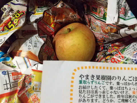 小玉です。10キロ箱加工用です。ジャムやジュースに😋色薄い加工用でも甘いです