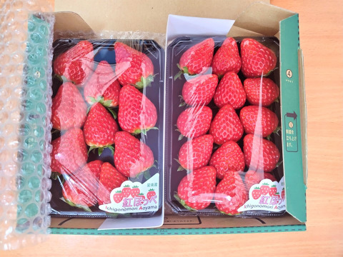 甘い！寒締めいちご！節減対象農薬8割減！品種おまかせ250g×2p：島根県