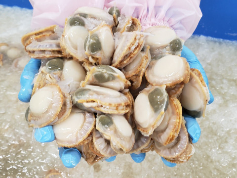 【大容量】プリプリ!スチームほたて(1kg×10袋)