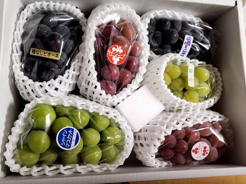 【福袋2025】3~5品種お楽しみ♪ ぶどう詰め合わせ＜シャイン1房は確約＞
