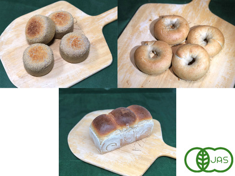 全部有機！Singleパン⑧+⑪＋食パン：麦の栽培から一貫生産　ベーグルセット+イングリッシュマッフィンセット+食パン【Let'sおうちCafe：エッグベネディクトの作り方付】