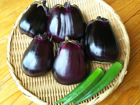 なす•クール便】希少在来種「新潟黒十全茄子」甘味あるやわらかナス 浅