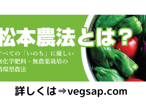 幻の黒にんにく【約２～３週間分】「毎日、健康のために食べるものだから安心・安全なものを！」３袋