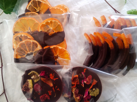 【想いを贈るチョコレート】オーガニックショコラギフトBOX