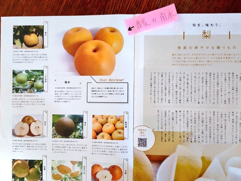 【南水3ｋｇ】糖度15°、超甘い、シャリ感、硬い、ジューシー、日保ちする信州生まれの優れもの！⑨【秀品】