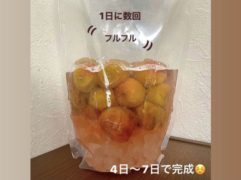 ☆無添加　冷凍梅でフルフル☆簡単酵素ジュース　１ｋｇ袋×3袋