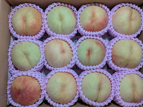 桃あかつき12玉