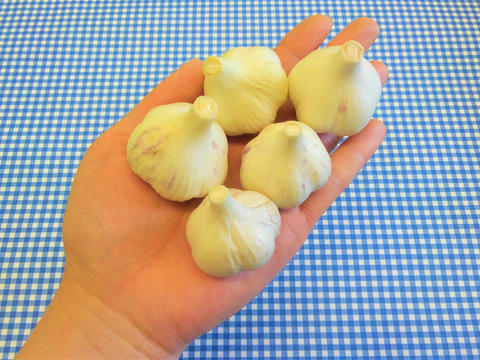 セット 自然栽培 ちびっ子にんにく1 5kg ちびっ子赤たまねぎ1 5kg ちびっ子黄たまねぎ1 5kg 青森県産 食べチョク 農家 漁師の産直ネット通販 旬の食材を生産者直送