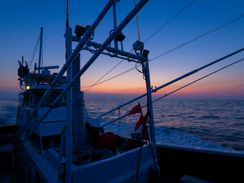 【日戻りケンケン漁】静岡県遠州灘産カツオ極藁燻し１節【外は燻製、中はレア】