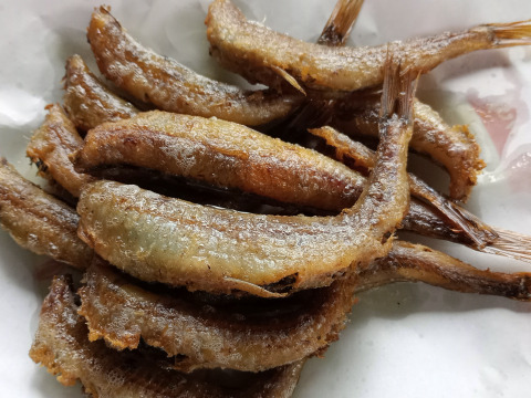 脂たっぷり！真空冷凍ニギス干物400g×2パック（計800g） 頭＆内臓除去済