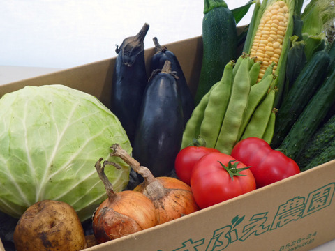 寒暖差が美味しさの秘訣!高原野菜セット【S: 少量をご希望の方に】