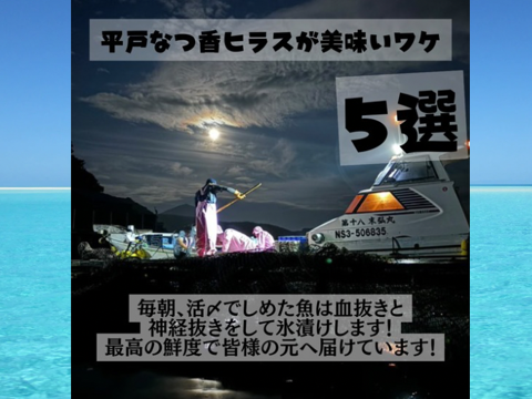 青空レストランで紹介された
平戸なつ香ヒラス半身（約１ｋｇ）真空パック・あら無し【さばき方＆魚レシピ付き】
長崎を代表するフルーツ魚！ヒラマサ【冬ギフト】【熨斗対応可】