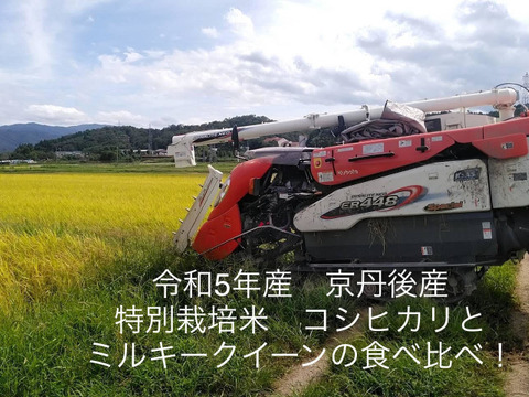 【新米】食べ比べ‼♣️一度食べてみてほしいお米　麻奈為🌾
令和５年度産　京丹後峰山産　特別栽培米コシヒカリ・ミルキークイーン【各玄米3㎏】　(希望者精米無料）