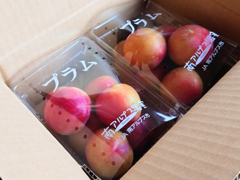 甘酸っぱい！スモモの定番『大石早生』１kg(500g×2パック)