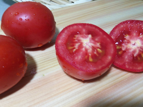 夏トマト。種の販売がなくなった貴重な高リコピントマト　すずこま1㎏　冷蔵便