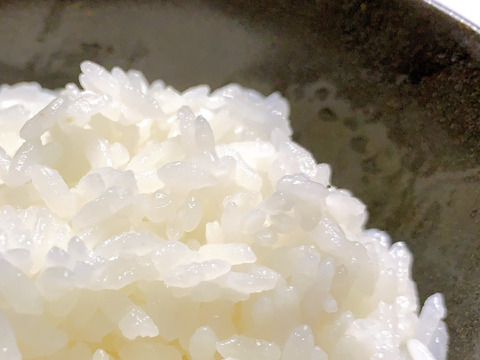 🌾 農薬化学肥料不使用栽培【きぬむすめ】白米5kg （玄米/分つき精米可）