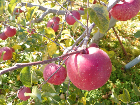 ギフト品詰め合わせセット7品