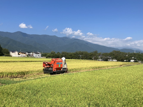 【令和７年産】低農薬栽培米　コシヒカリ　白米　2kg