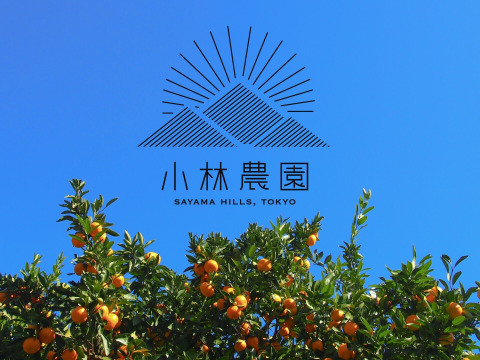 【皮まで贅沢に】完熟温州みかんマーマレード2本【東京狭山みかん】