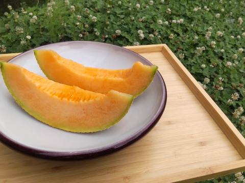 幻のメロン赤　北海道栗山町産２玉