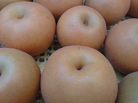 最終です！長野県生まれの梨。第三弾「南水」約３㎏　甘くてジューシーシャリっと食感です！一度お試し下さい。おすすめ