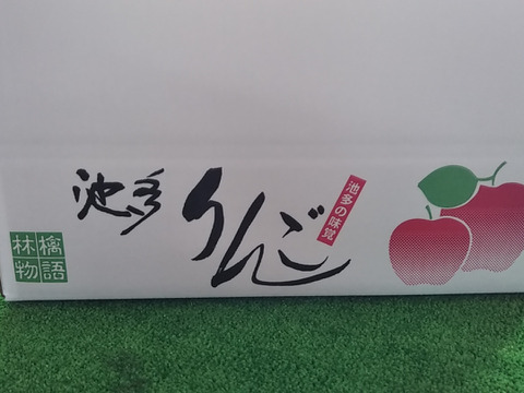 【冬ギフト】池多リンゴふじ16,18玉