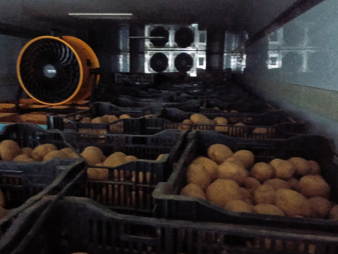 【値下げ】糖度の上がった寝かせじゃがいもスタート！おいしいと定評のある　じゃがいも　ニシユタカ　20ｋｇ　訳あり　2025年春産　訳ありたくさん出てお安めで　洗ってお届け　有機JAS　そのやま農園