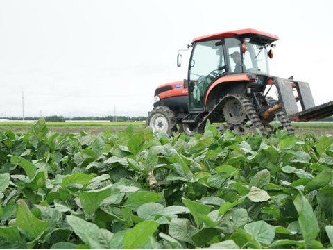 【✨初出店記念✨】　本場！山形県鶴岡市白山だだちゃ豆　濃厚な甘さ！3㎏