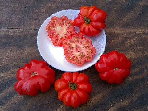 イタリアの調理用トマトの代表格、サンマルツァーノ700gとコラツォン＋コストルート800ｇ