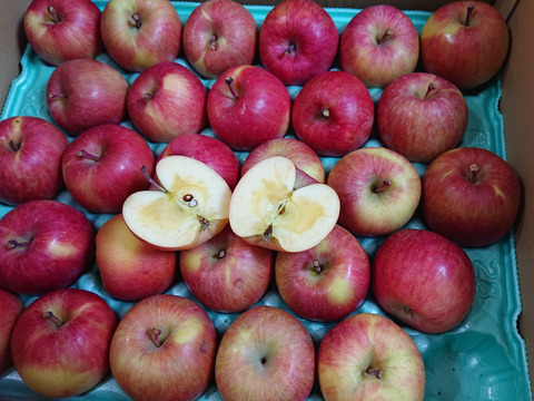 【在庫限り!!】「話題の こうとく !!」約4.5Kg青森県産 数量限定 高徳 りんご『話題のリンゴはこ こみつ けたら即買いをお勧めします!!』林檎 apple