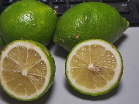 レモン★家庭用4.3K