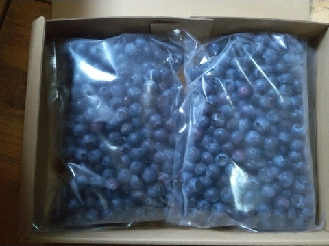 除草剤不使用、特別栽培認証の冷凍ブルーベリー2キロ（ジャム、スムージー用、小粒、Lサイズ）