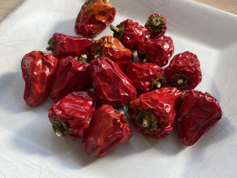 【自然栽培🍀自家採種】天日乾燥☀️朝天唐辛子（四川唐辛子）本格中華料理に（乾燥２０g）