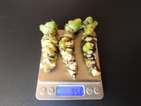 太陽と大地の恵み、岩手県産「わさび」