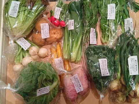 定期便限定!【旬のVEGE箱（Rサイズ）】土壌医＆有機農家がつくる！畑の「今」を箱いっぱいにつめこんだ野菜セット（約11〜12品種）