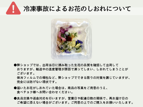 ＜室内栽培＞【おもてなしサラダセット】フリルレタス(80g×2p)・生花MIX(20輪×1p)　食べられる花　水洗い不要　日持ち　トッピング　デコレ―ション　装飾　クリスマス　お祝い　誕生日