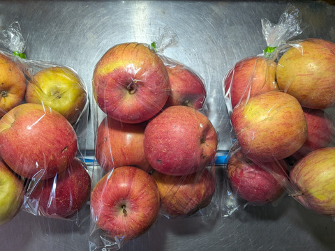 ふじリンゴ家庭用