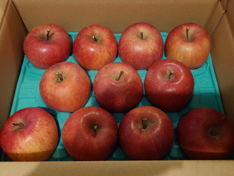 長野県認証栽培のサンふじ3ｋｇ