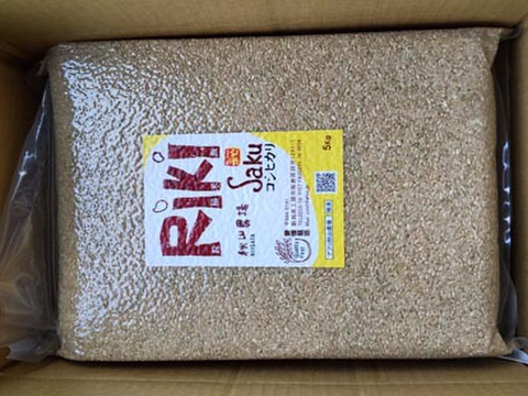 新米予約】【玄米】 5Kg×2「Riki-Saku」コシヒカリ 新潟県秋山