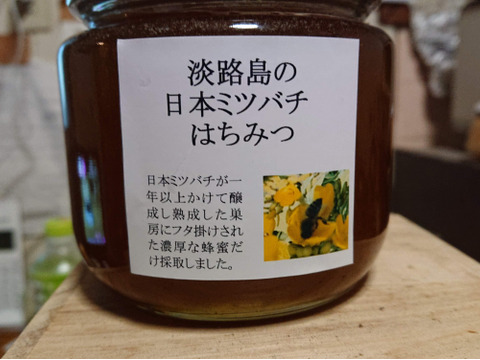 日本ミツバチのハチミツ500g2ビン＋145g1ビン